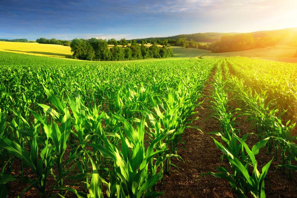 Agriculture and Mining Supplies