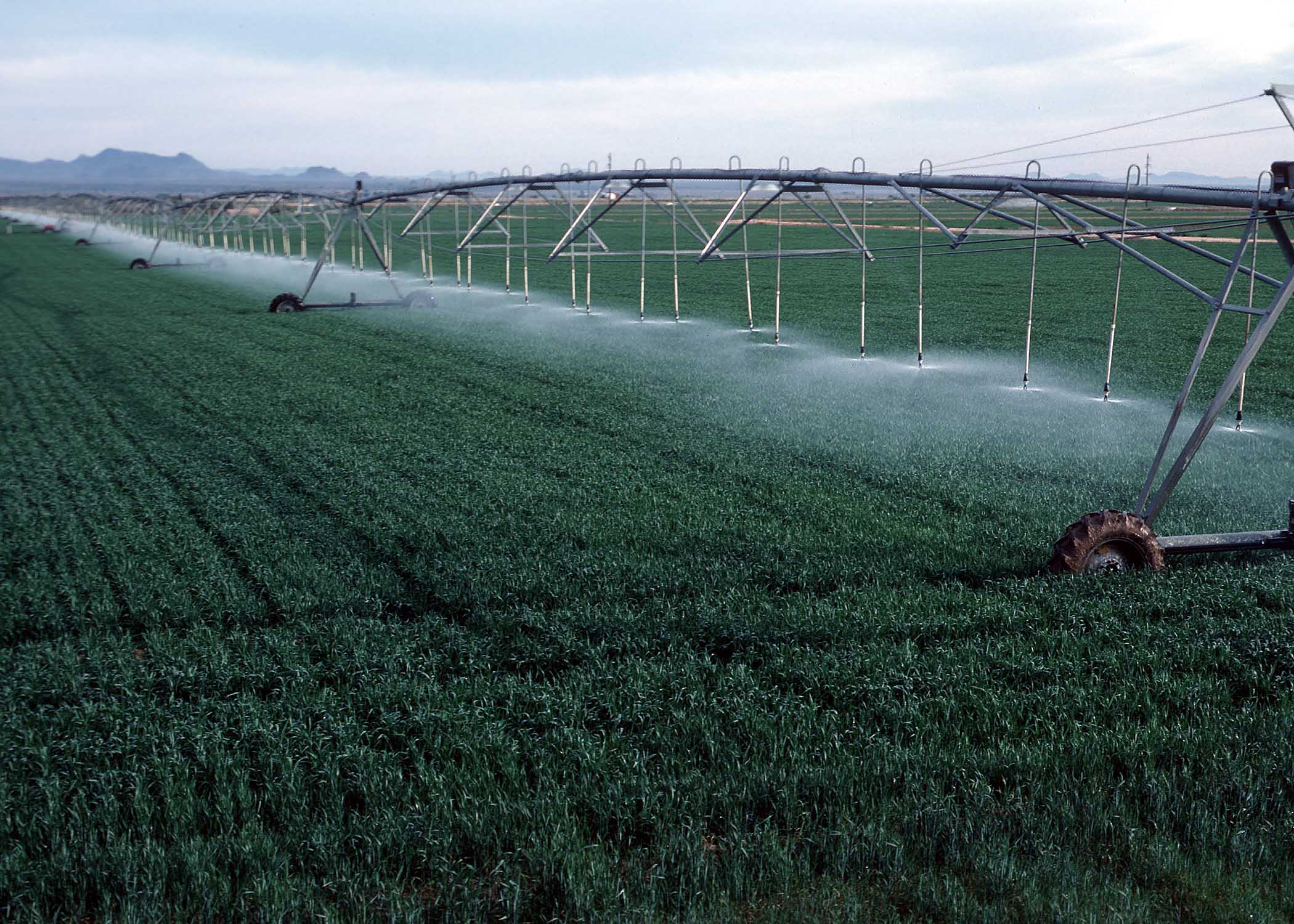 Agriculture Products Supply